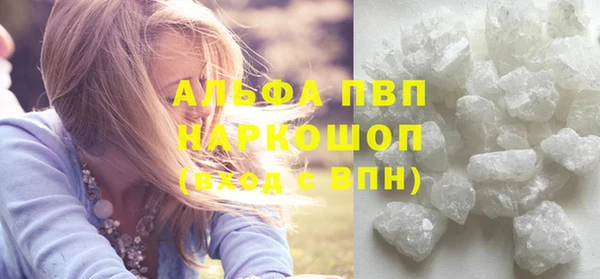 спиды Инта
