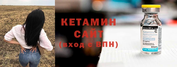 твердый Инсар
