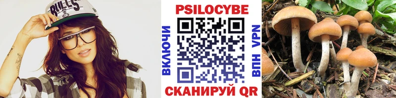 цены   Ивантеевка  Псилоцибиновые грибы Cubensis 